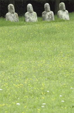 PROJECTEN-CULTURE-26